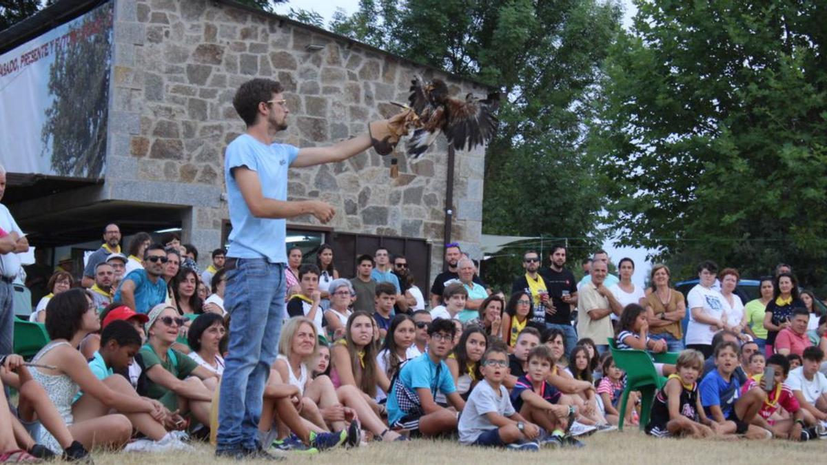 Exhibición de cetrería en Codesal.