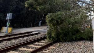 Quatre hores aturats en un tren: l'odissea dels viatgers d'un R11 de Rodalies a Girona