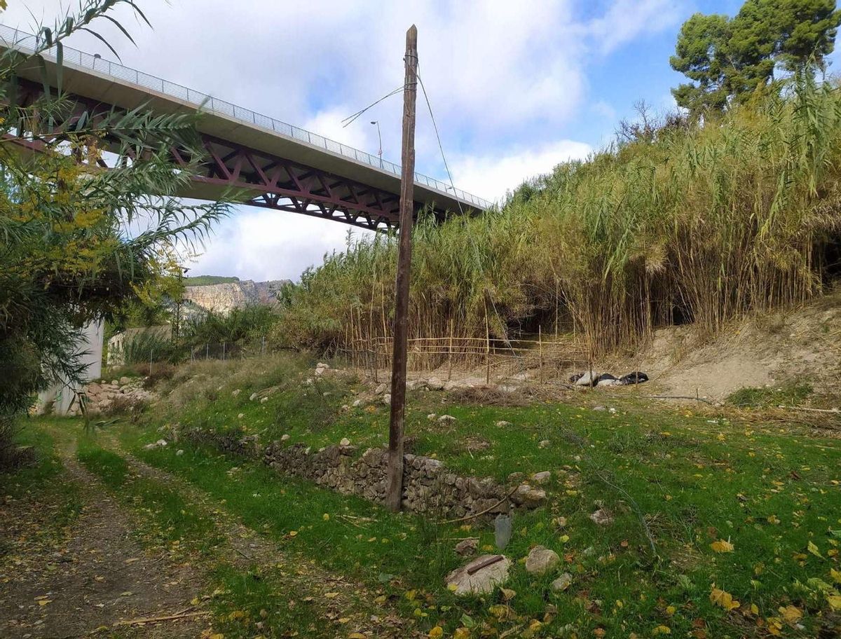 El proyecto "AlcoiBioUp" actuará sobre todo en las zonas verdes urbanas ligadas a barrancos y cauces hídricos