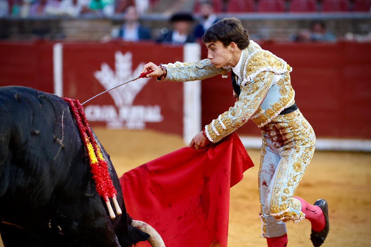 La novillada de Córdoba, en imágenes La novillada de Córdoba, en imágenes
