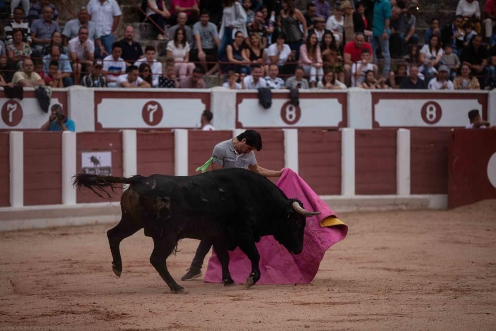 Concurso de cortes San Pedro