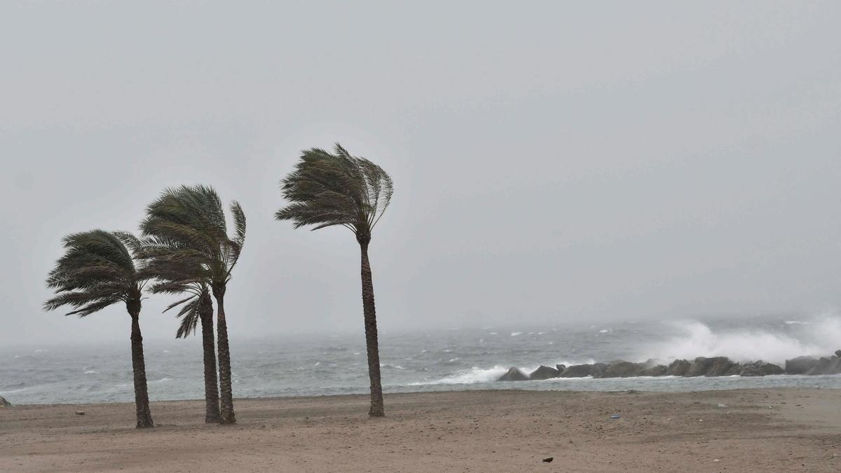 Las rachas de viento pueden ser muy fuertes durante las próximas horas en algunos puntos de la provincia