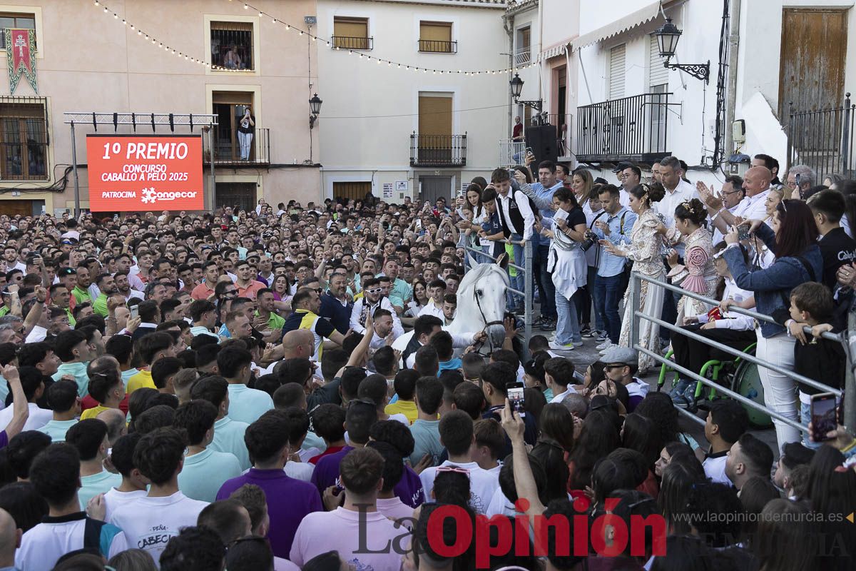 Fiestas de Caravaca | Entrega de premios del concurso morfológico