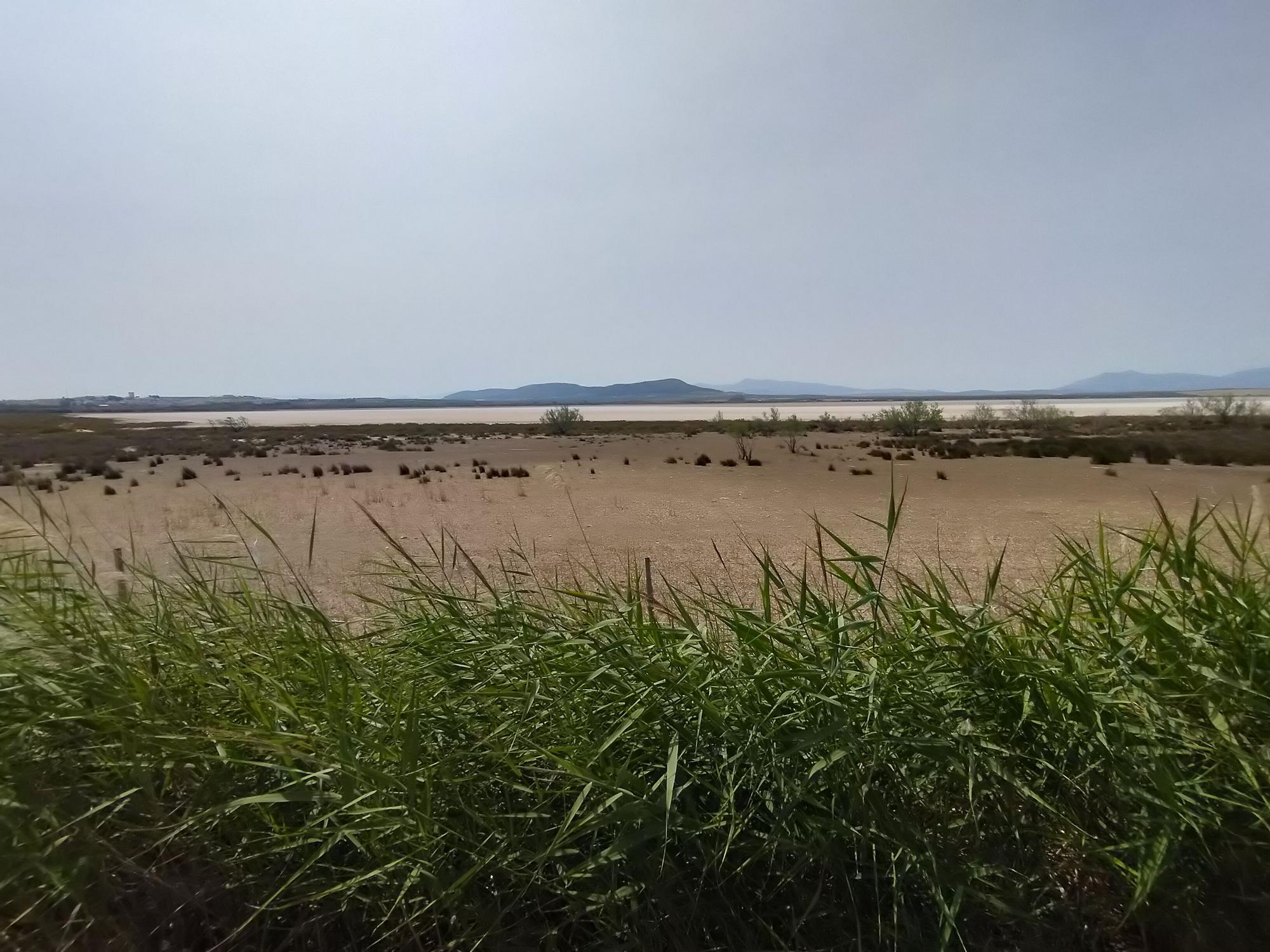 La laguna de Fuente de Piedra