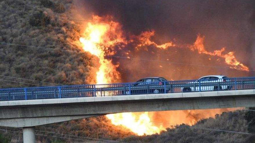 Estabilizado el incendio que obligó a desalojar 40 viviendas en Marbella