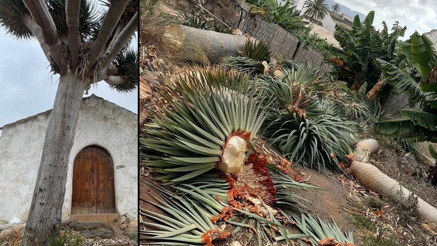La guerra por las hamacas en los hoteles de Canarias: ¿turismo o egoísmo?