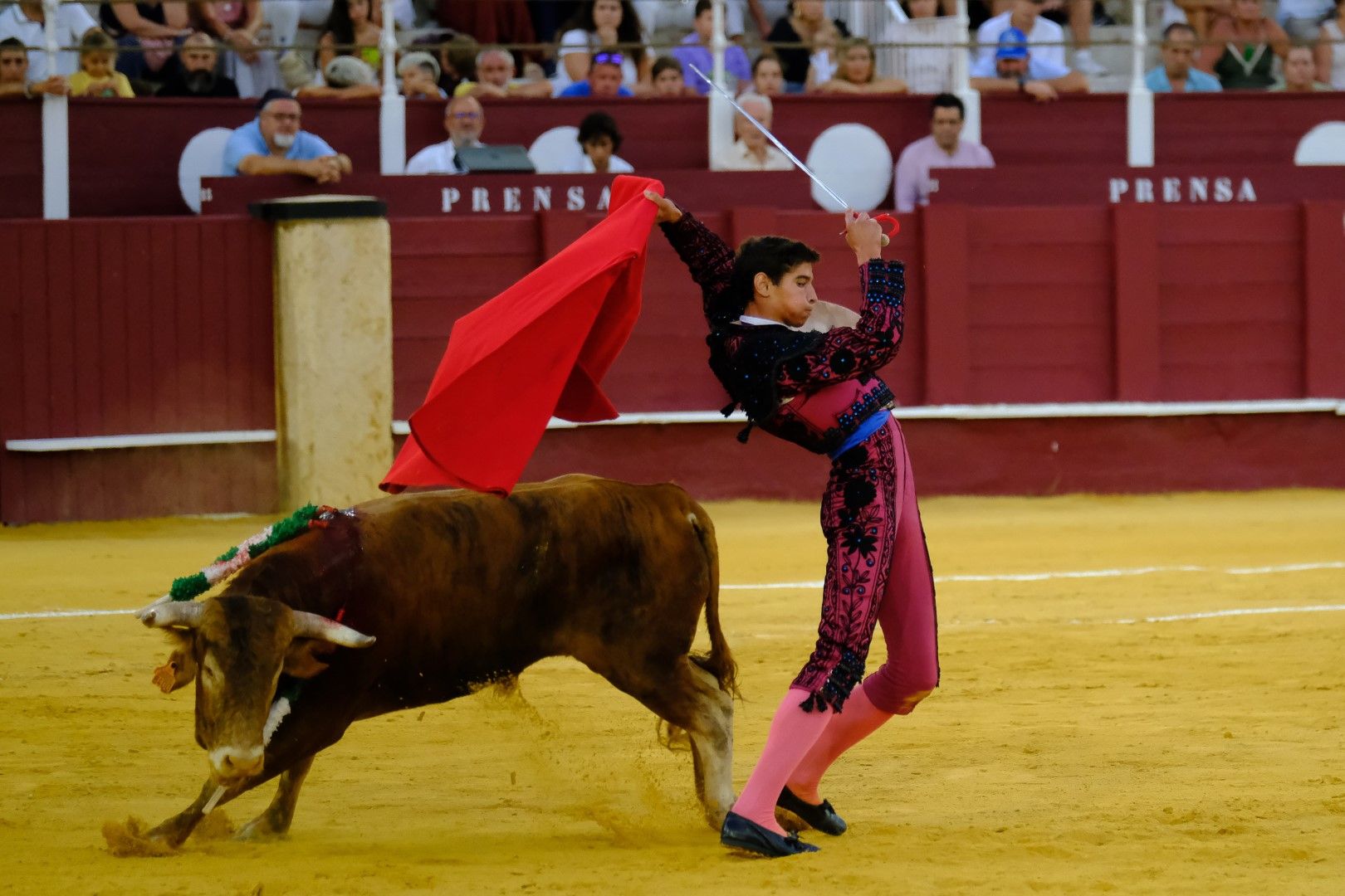 XVI Certamen Internacional de Escuelas Taurinas La Malagueta