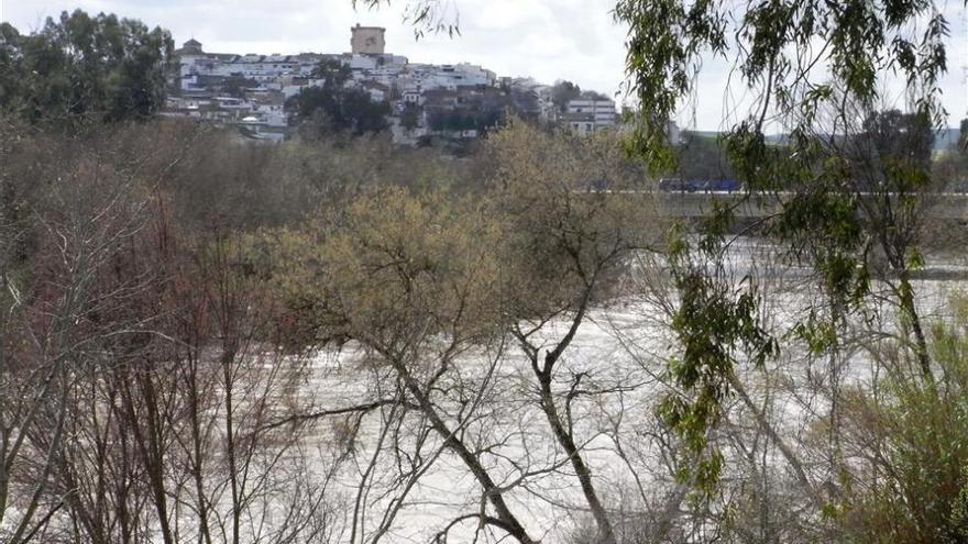 La Junta abre expediente a una secadora de orujo por un &quot;vertido accidental&quot; junto a El Carpio