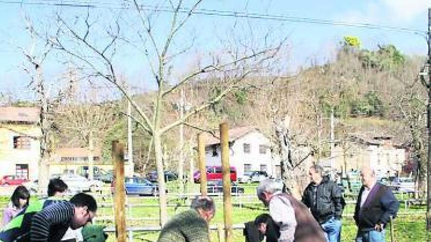 Un grupo de vecinos de Corao, plantando árboles el año pasado.