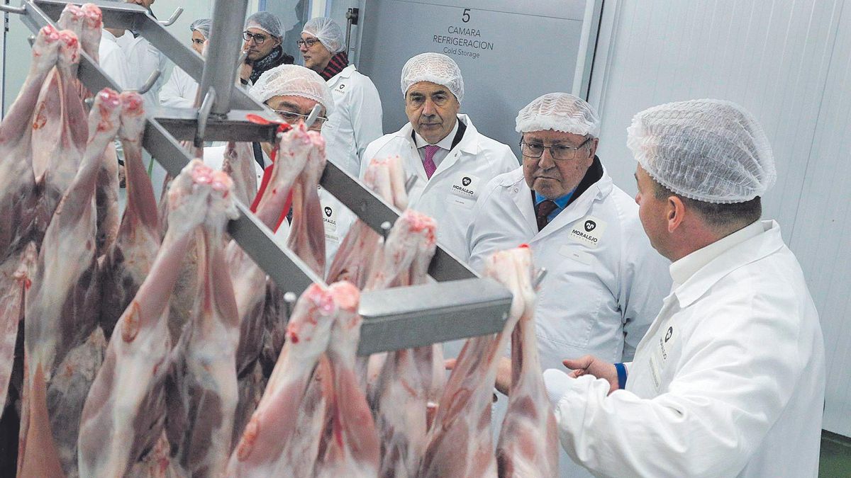 Visita a las instalaciones de Moralejo Selección en Coreses (Zamora).