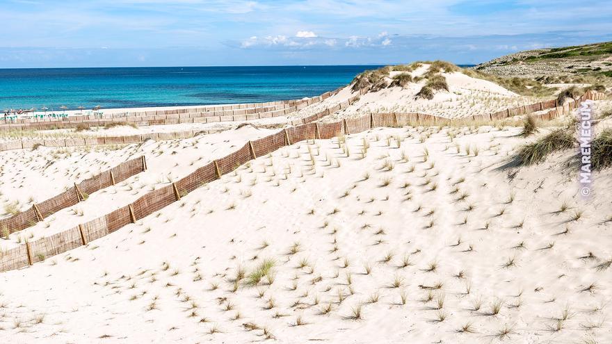 Las playas más paradisíacas de Mallorca