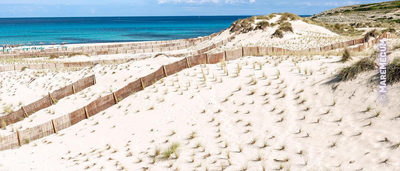 Las playas más paradisíacas de Mallorca