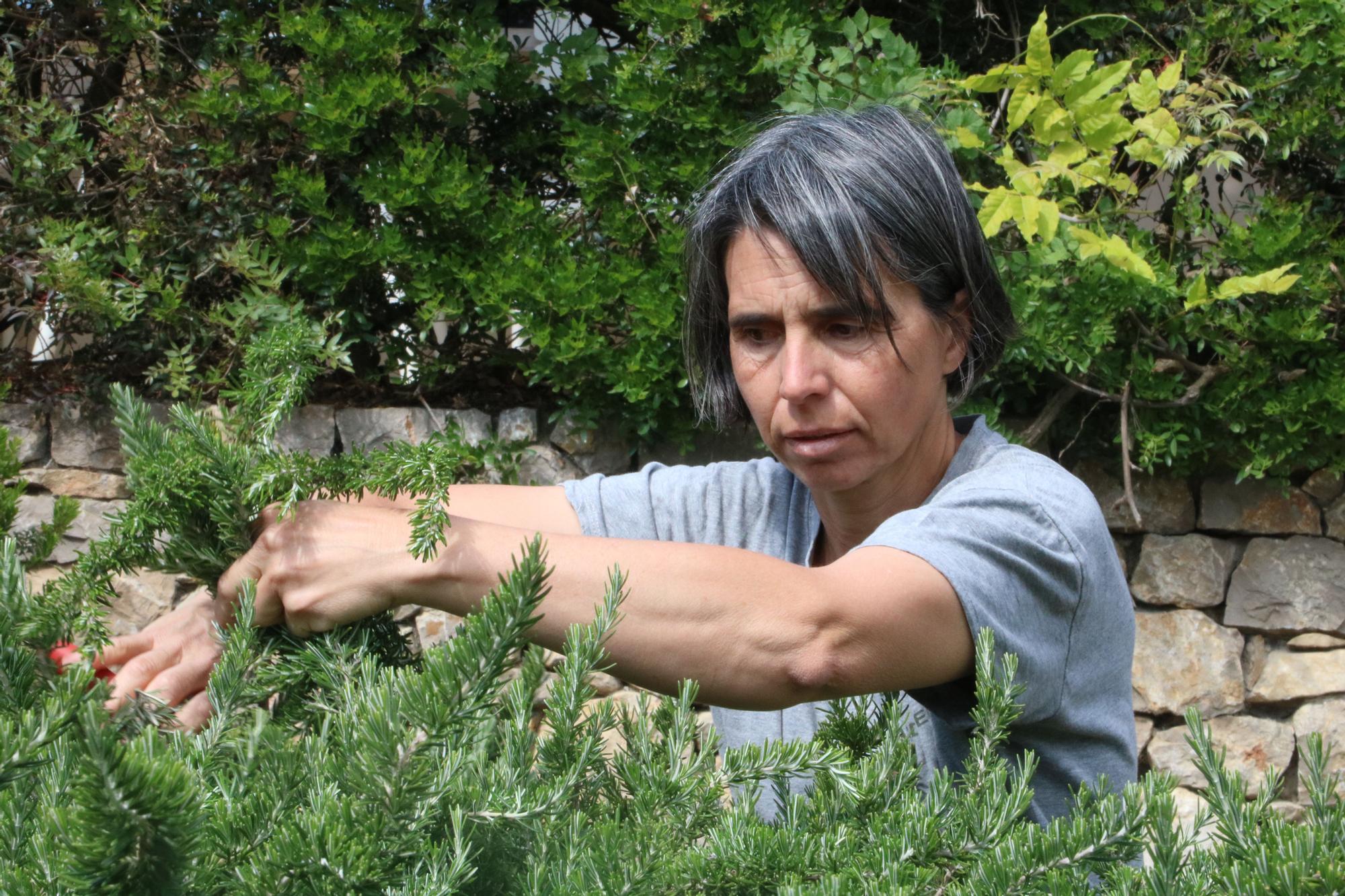 El Gremi de Jardineria lamenta que el sector se sent senyalat en plena sequera: "No se'ns està tractant massa bé"