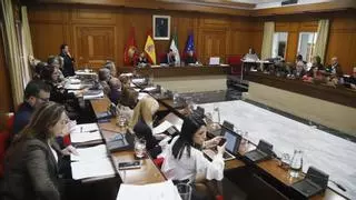 El Pleno pide a ADIF que construya una pasarela elevada en Villarrubia para eliminar los pasos subterráneos