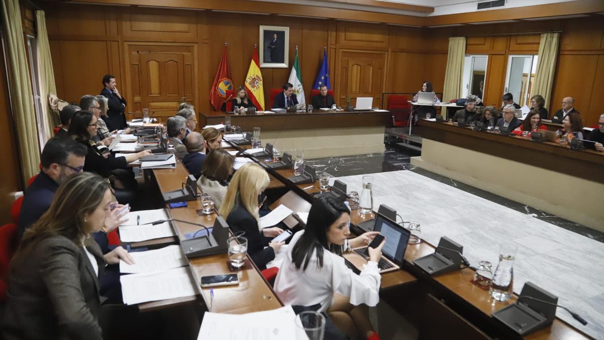 Un momento de la sesión plenaria del Ayuntamiento de Córdoba.