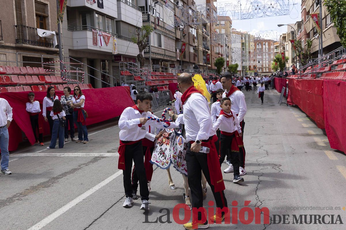 Fiestas de Caravaca | Desfile infantil del Bando de los Caballos del Vino