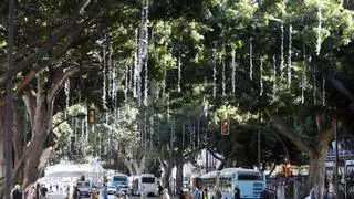 Programa de actividades de Navidad en Málaga