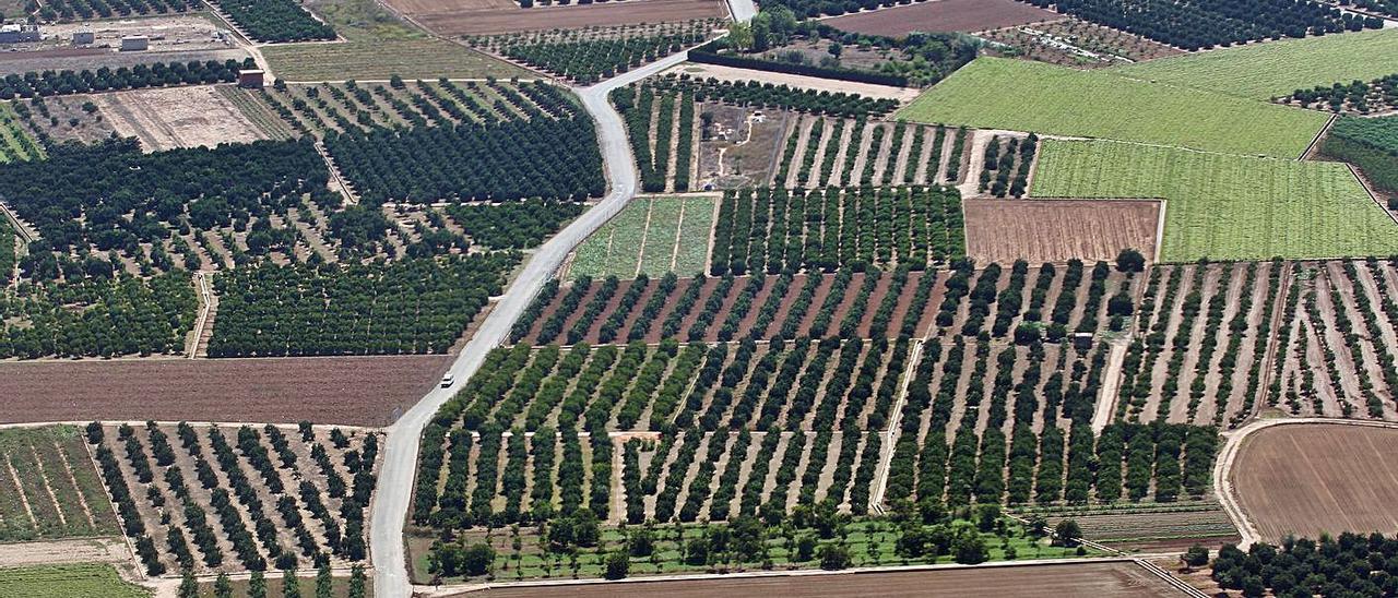 Panorámica aérea del paisaje agrícola valenciano, con alternancia de cultivos. | GVA