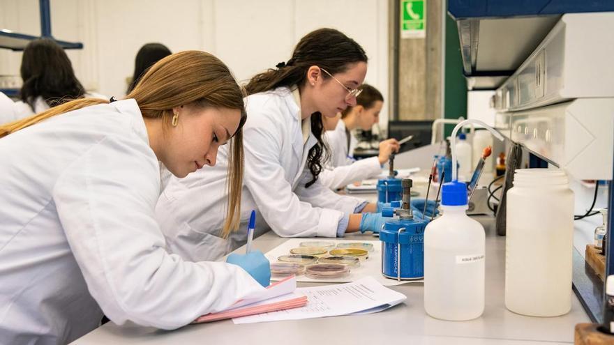 Más referentes, más alumnas, más innovación: la UPV fortalece el papel de la mujer en las STEM