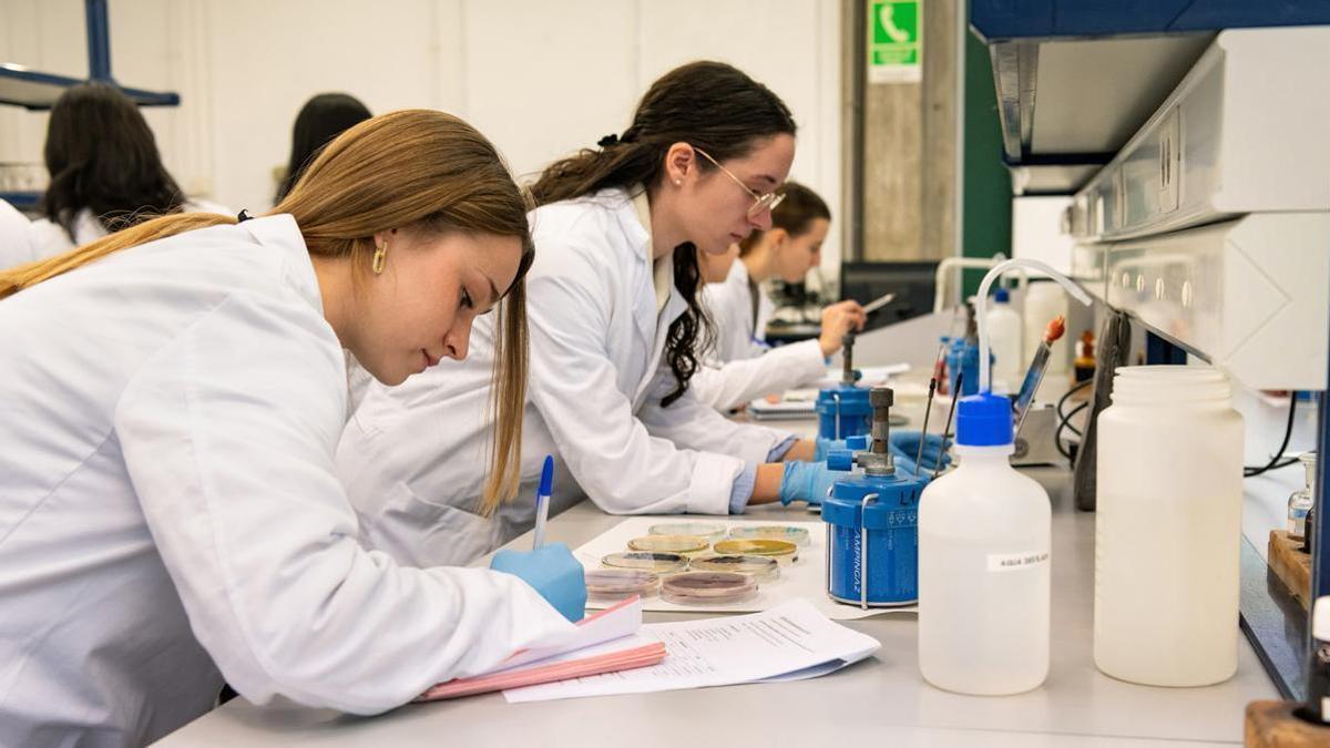 La UPV cuenta en la actualidad con diversos grados científicos e ingenierías en los que la paridad ya es una realidad.