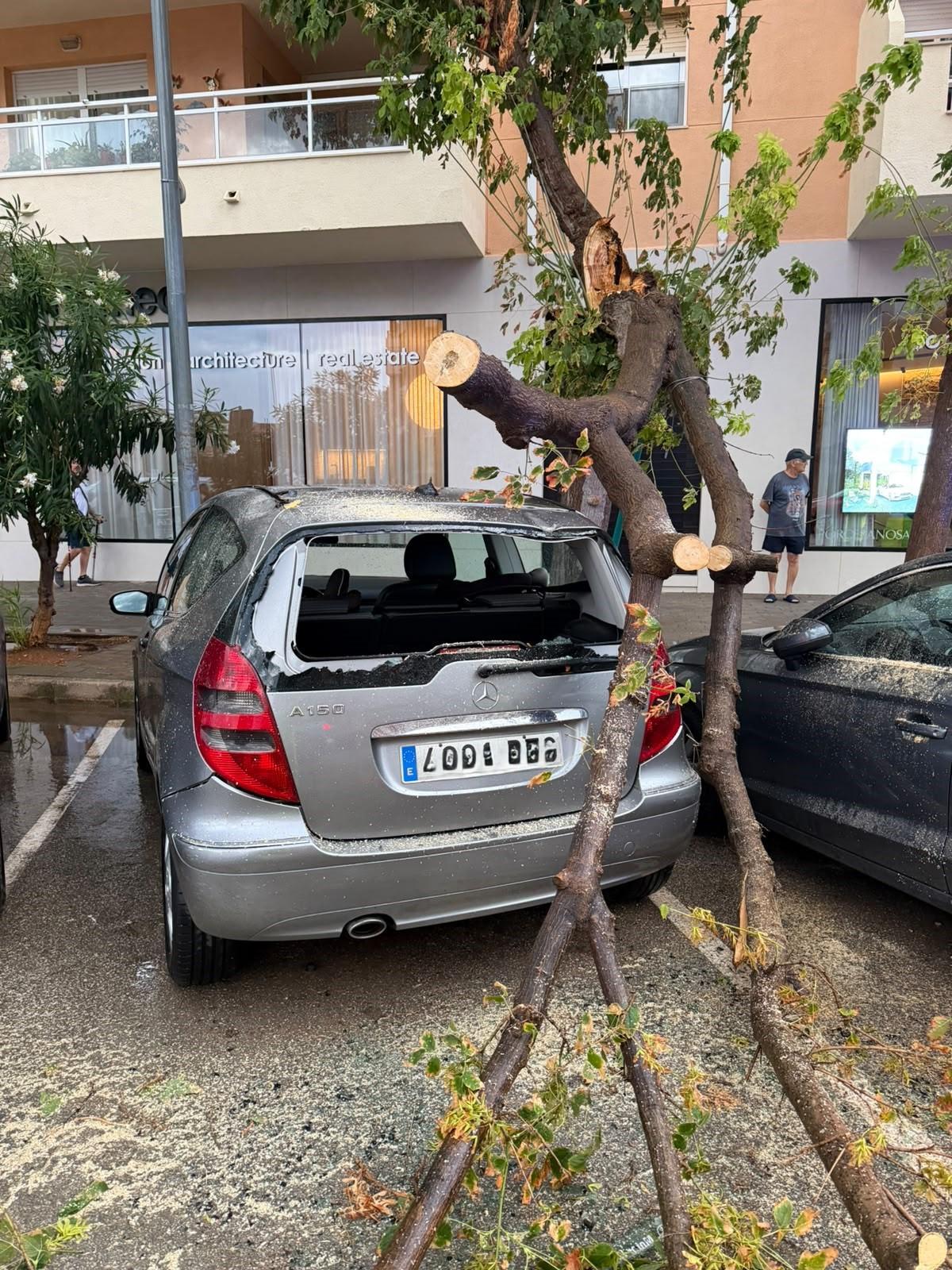 Una gran rama se ha tronchado y ha caído sobre un coche estacionado en Dénia