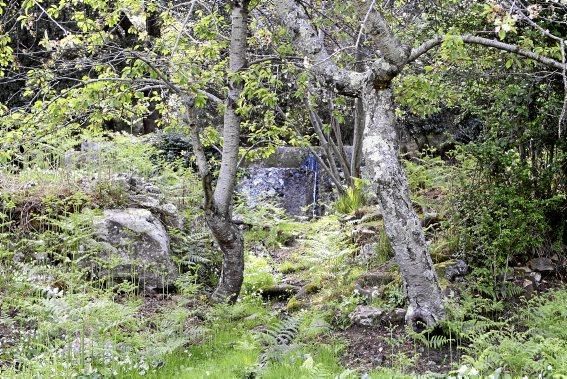 Einer der schönsten Winkel der Insel - das Tal und der Garten von Ariant - kann wieder bei geführten Rundgängen erkundet werden.