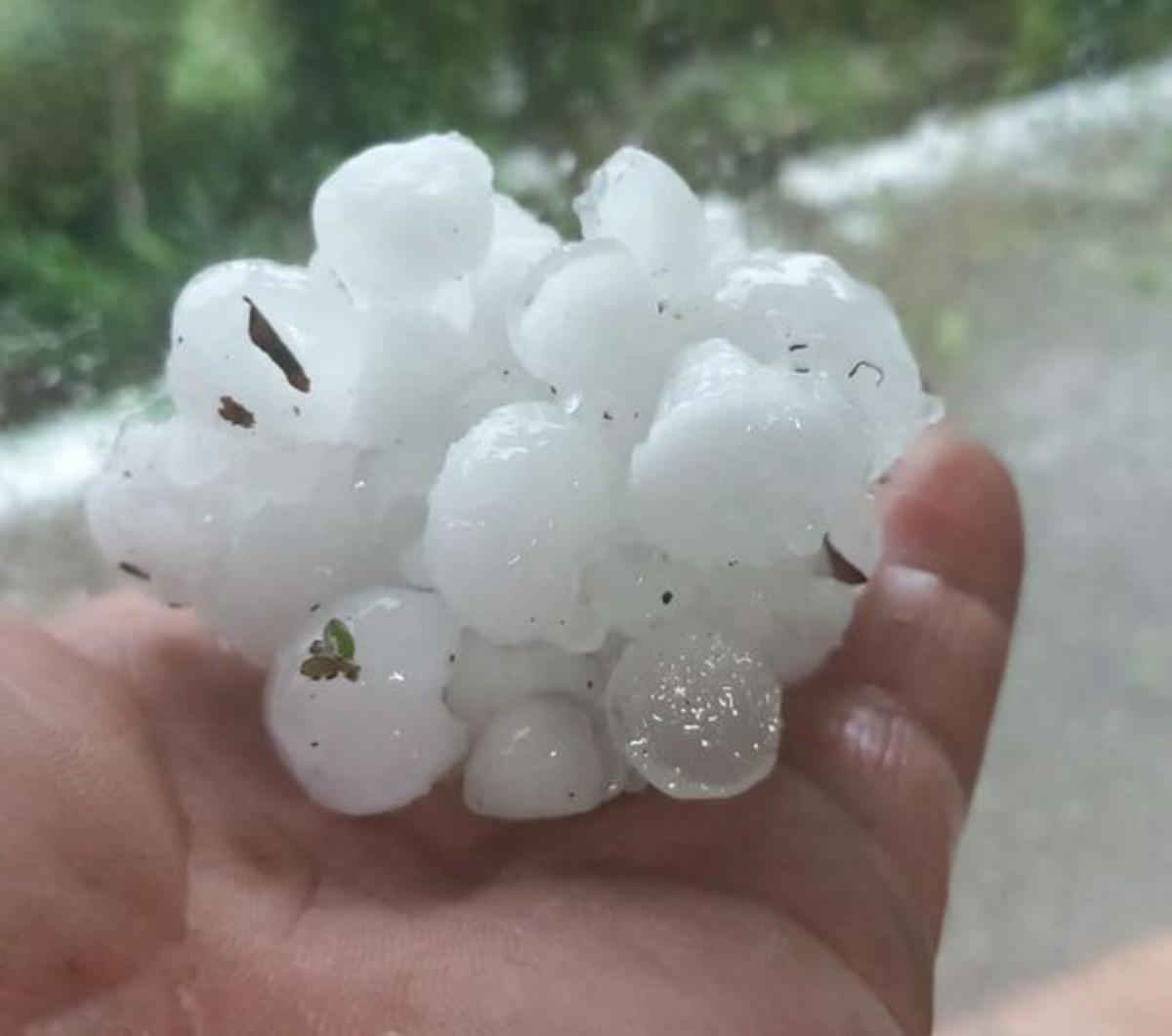 La tormenta destroza plantaciones de huerta para autoconsumo e inunda bajos de viviendas