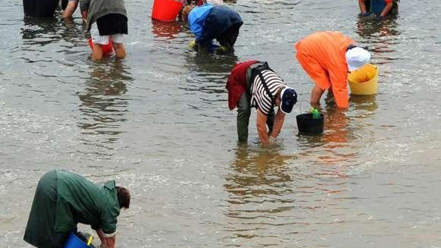 Mariscadoras de la agrupación de Vilanova.  // Iñaki Abella