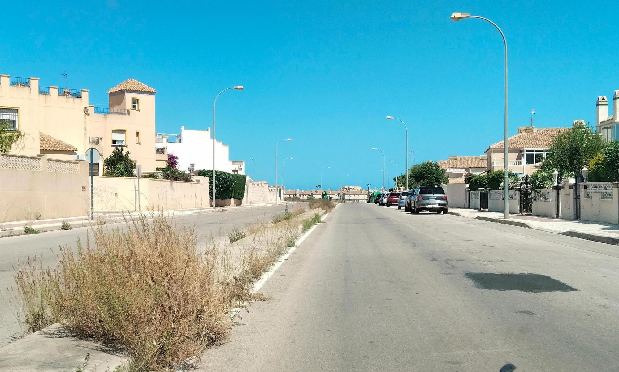 Una jungla sobre el asfalto de Orihuela Costa