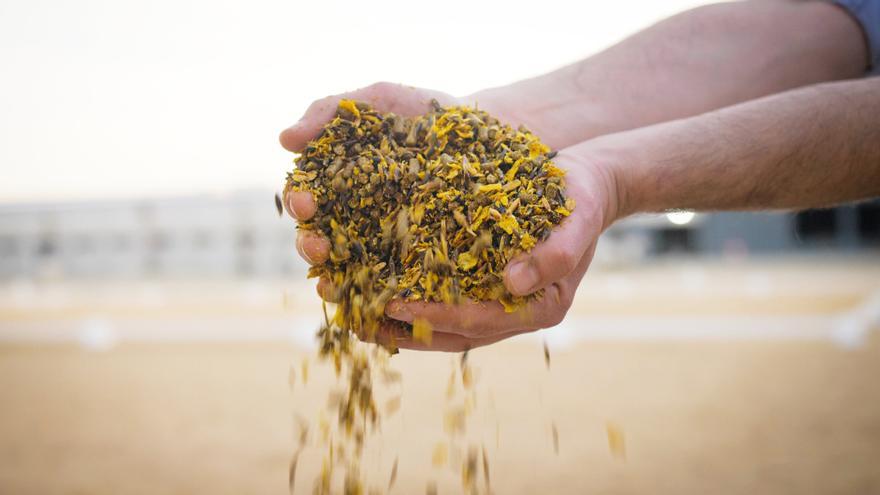 Grupo Agroveco,  piensos de calidad con origen en Casetas