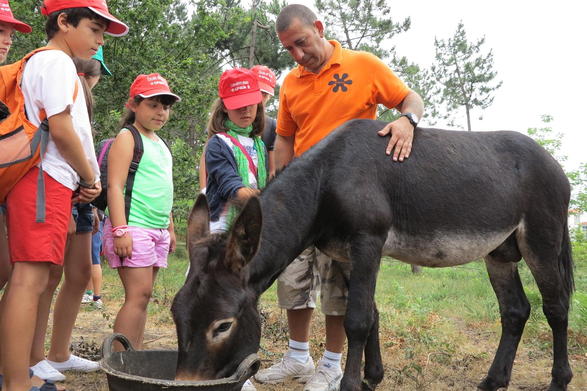 Foto de archivo de escolares recibiendo explicaciones sobre los hábitos de los burros y sus necesidades.