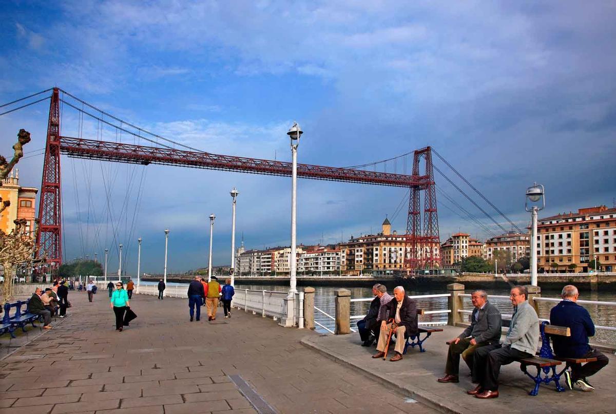 Vista Del Puente Colgante De La Suspensión Del Río Salmón En El