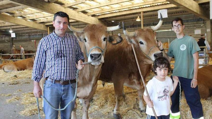 El certamen moscón de ganado confirma, en su tercer año, su mejora en cantidad y calidad