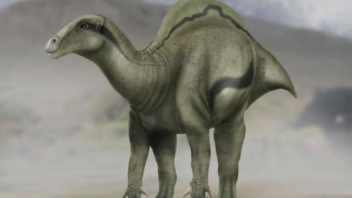El "Jurassic Park" de Castellón