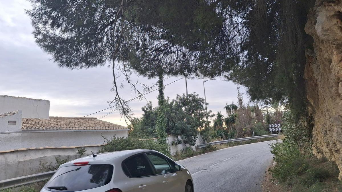 Las ramas secas penden sobre los coches