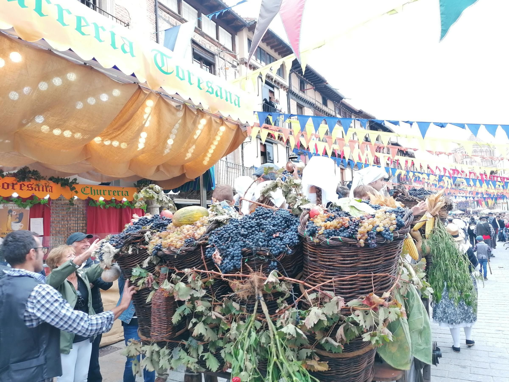 GALERÍA | Toro recrea la vendimia tradicional en el desfile de carros