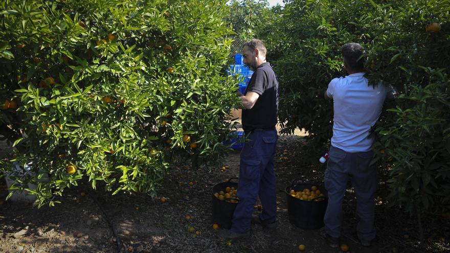Así fue el primer revés para los agricultores de Morvedre