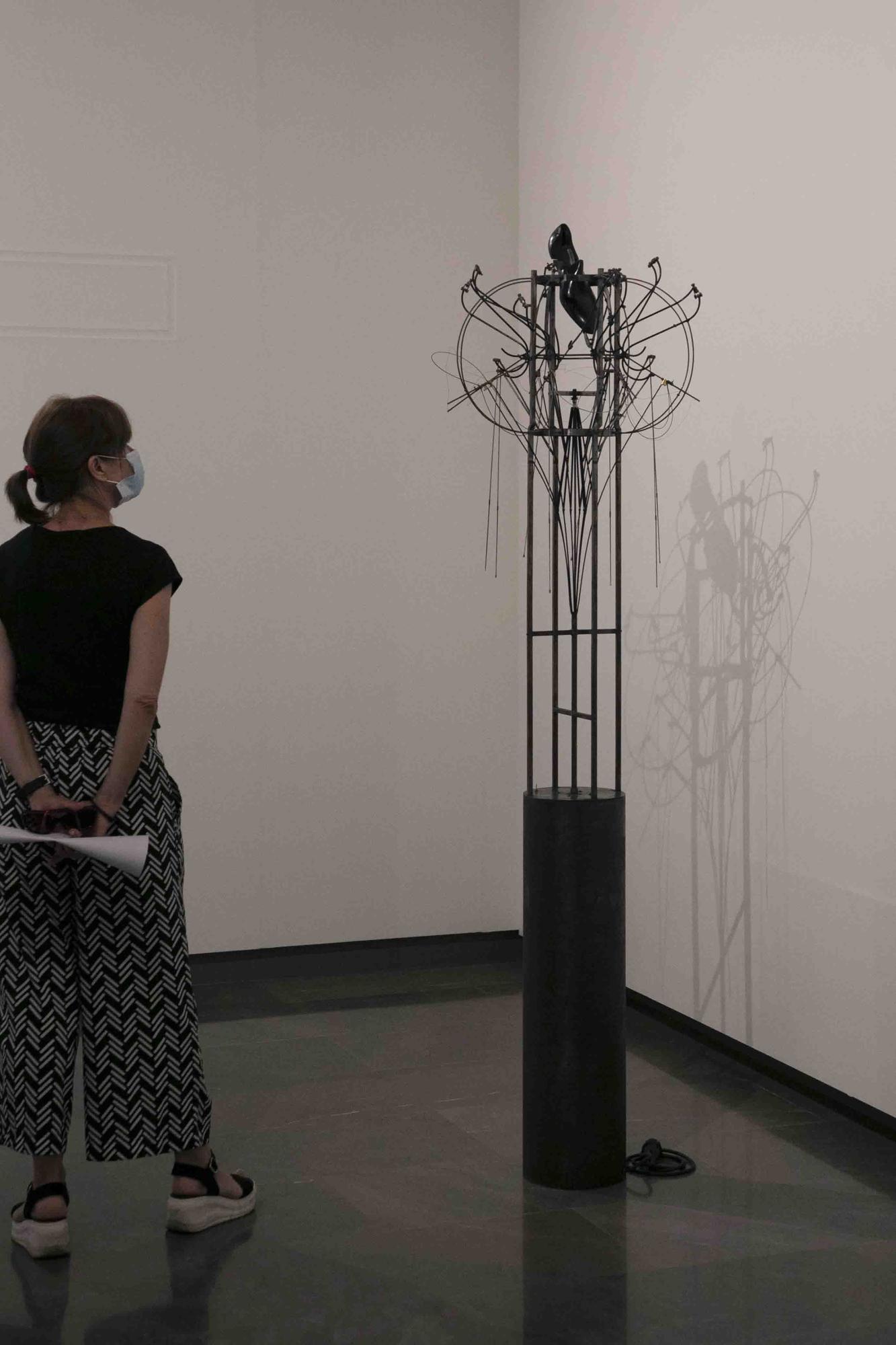 Pusions Saldades de Vicente Martinez