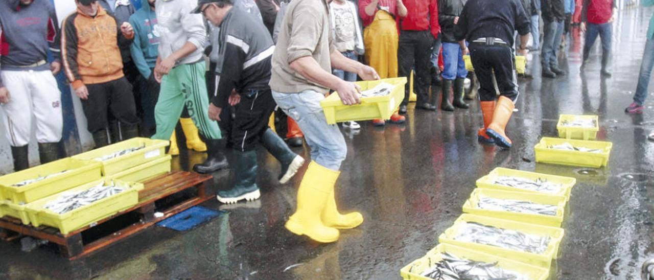 Protesta realizada el año pasado por marineros del cerco tirando anchoa en Vigo. // Adrián Irago