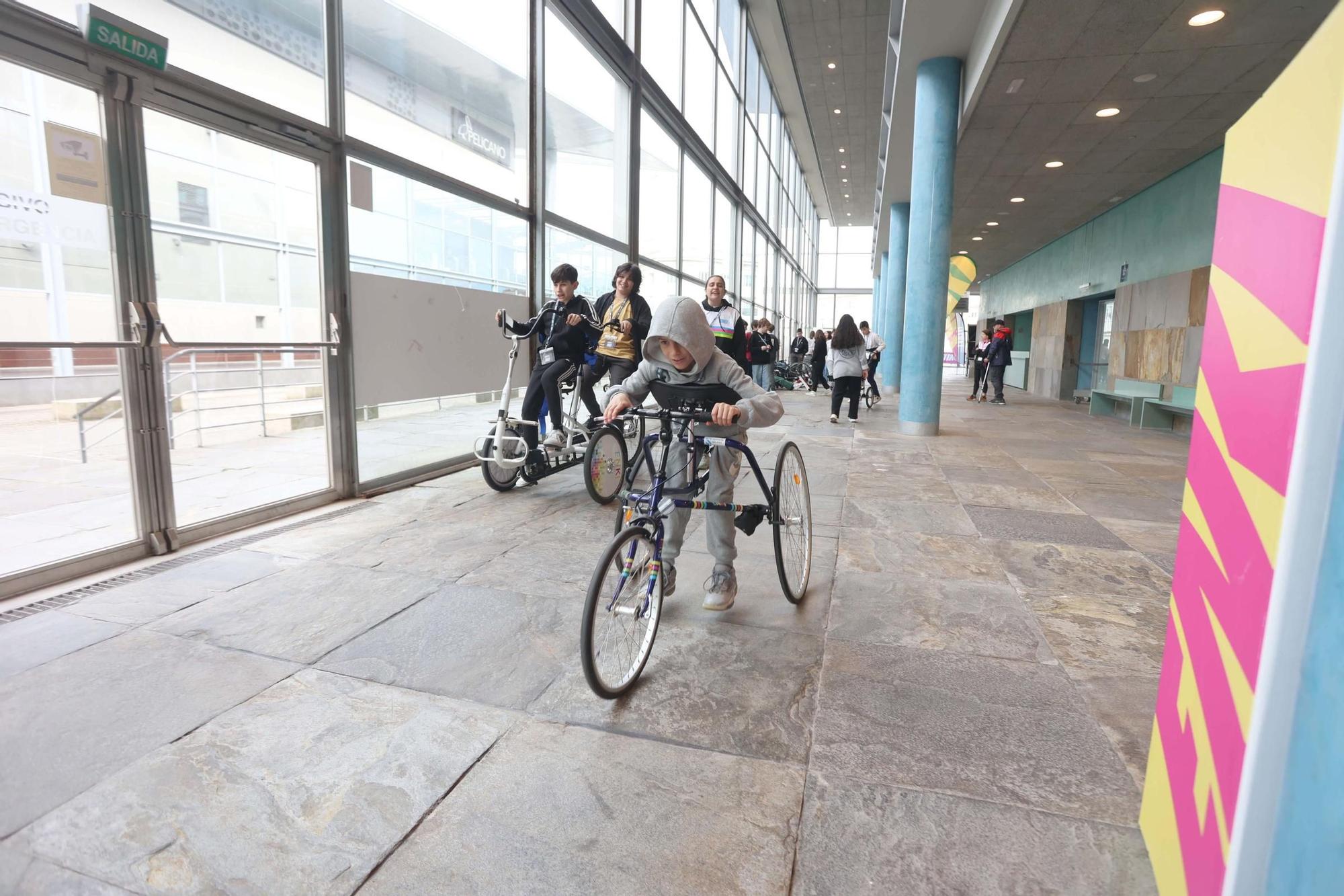 Jornadas para escolares de la Fundación Enki en Palexco