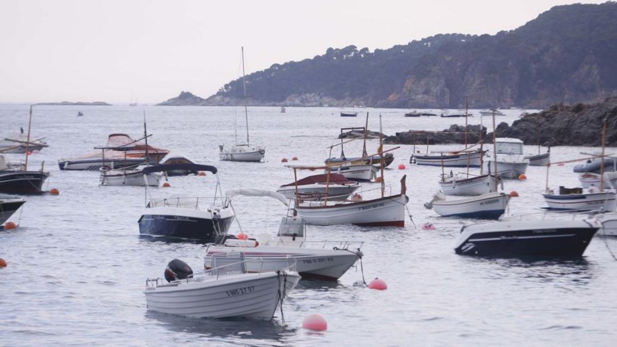 Embarcacions amarrades a les boies de la platja de Llafranc