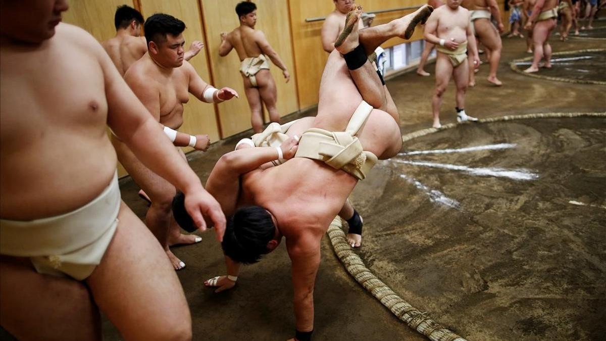 zentauroepp48271715 college students work out at the sumo wrestling club at nipp190522194958