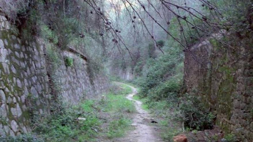 La Vía Verde del trenet de Carcaixent