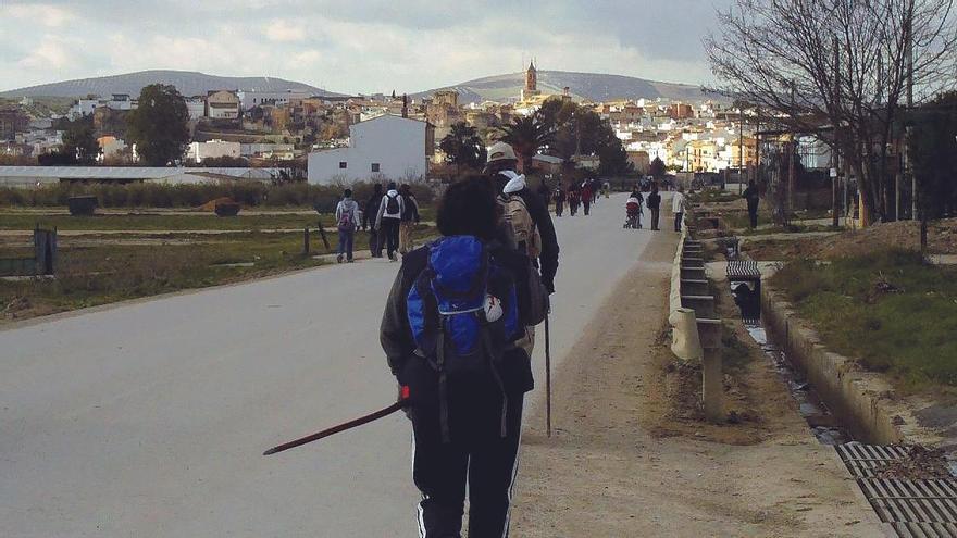 Peregrinos en la etapa entre Baena y Castro del Río.