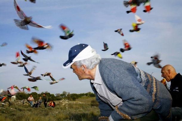 Fotografía de la muestra 'Palomas al aire' de Ricardo Cases