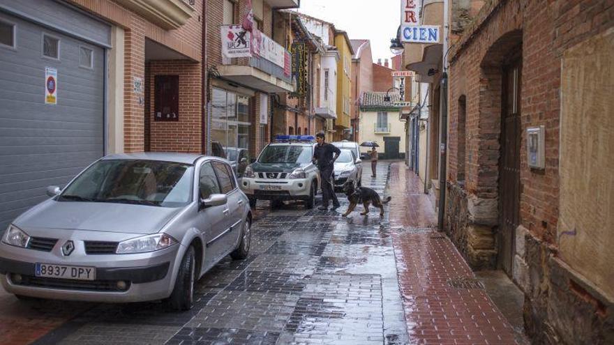 Un perro de la Unidad Cinológica de la Guardia Civil en un servicio