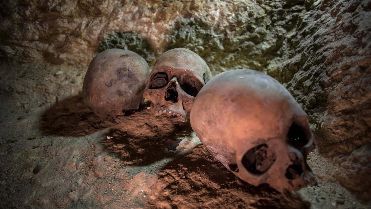 Restos humanos hallados en un cementerio de sacerdotes del siglo IV a.C, en la provincia egipcia de Minia.
