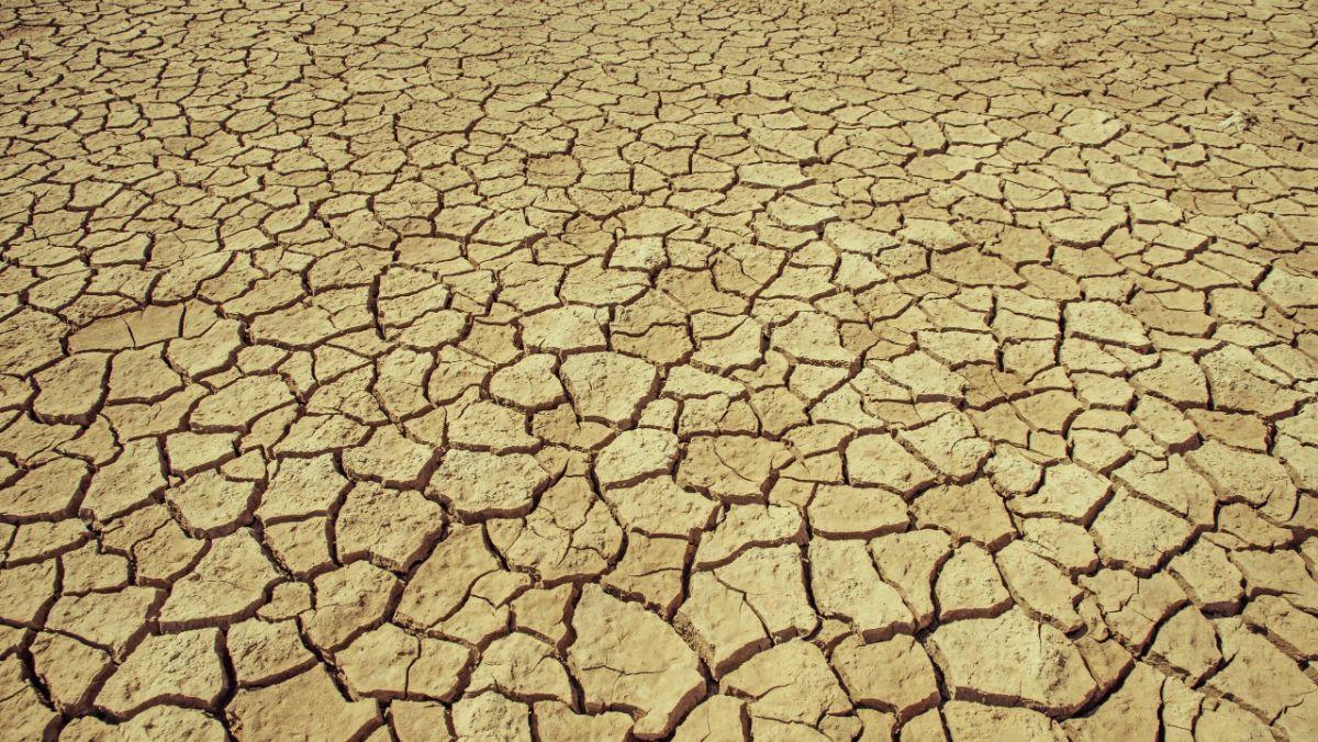 La sequía afecta a la población de múltiples formas, por ejemplo con la reducción del suministro de agua y alimentos e incrementando el riesgo de incendios forestales.