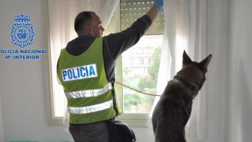 La policia espanyola ha detingut quatre persones en el marc d&#039;una operació contra el tràfic de droga | Policia Espanyola