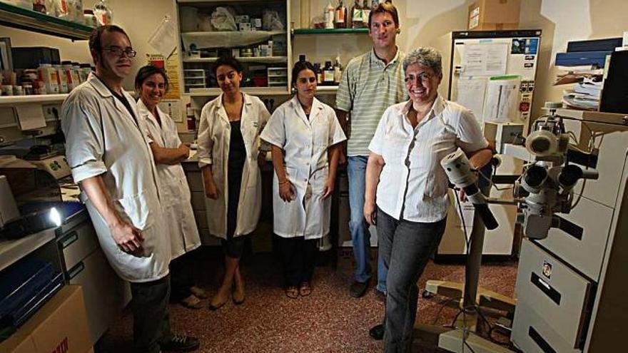 Juana Gallar encabeza el equipo que ha llevado a cabo este estudio desde el Instituto de Neurociencias